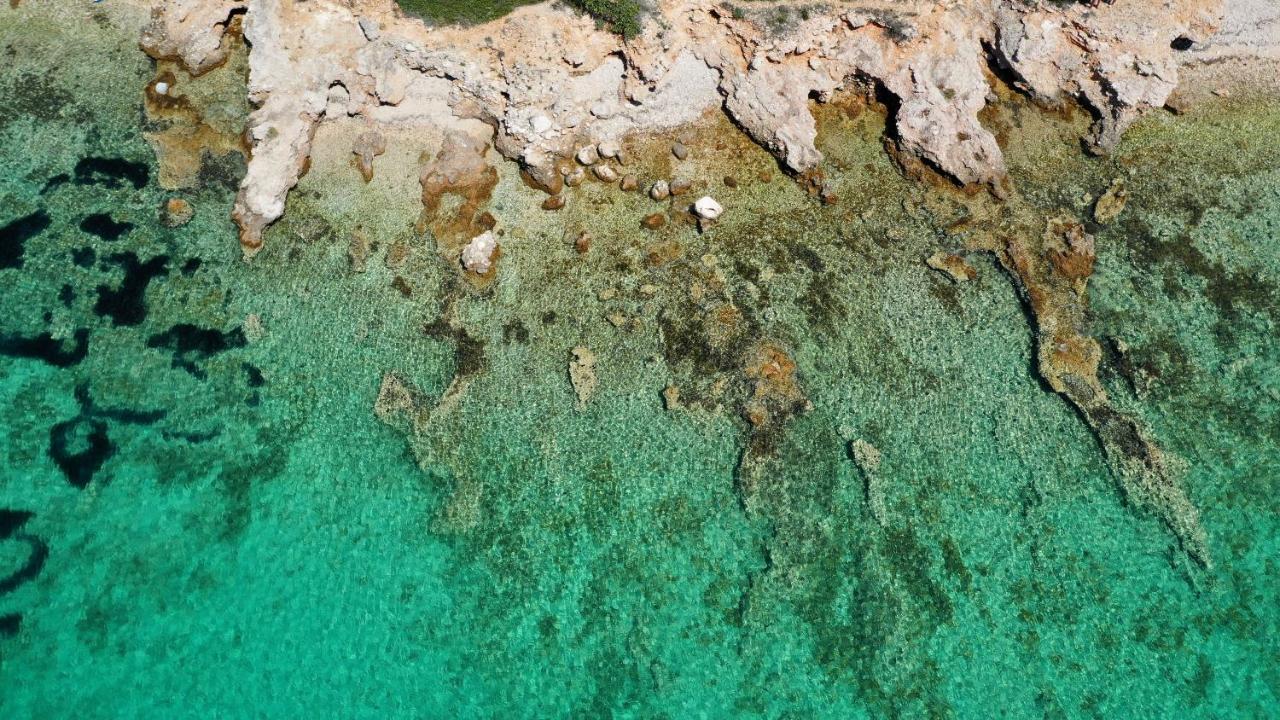 House Mirta Villa Pašman Eksteriør bilde